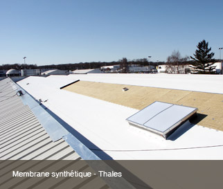 Membrane synthéthique - Thales